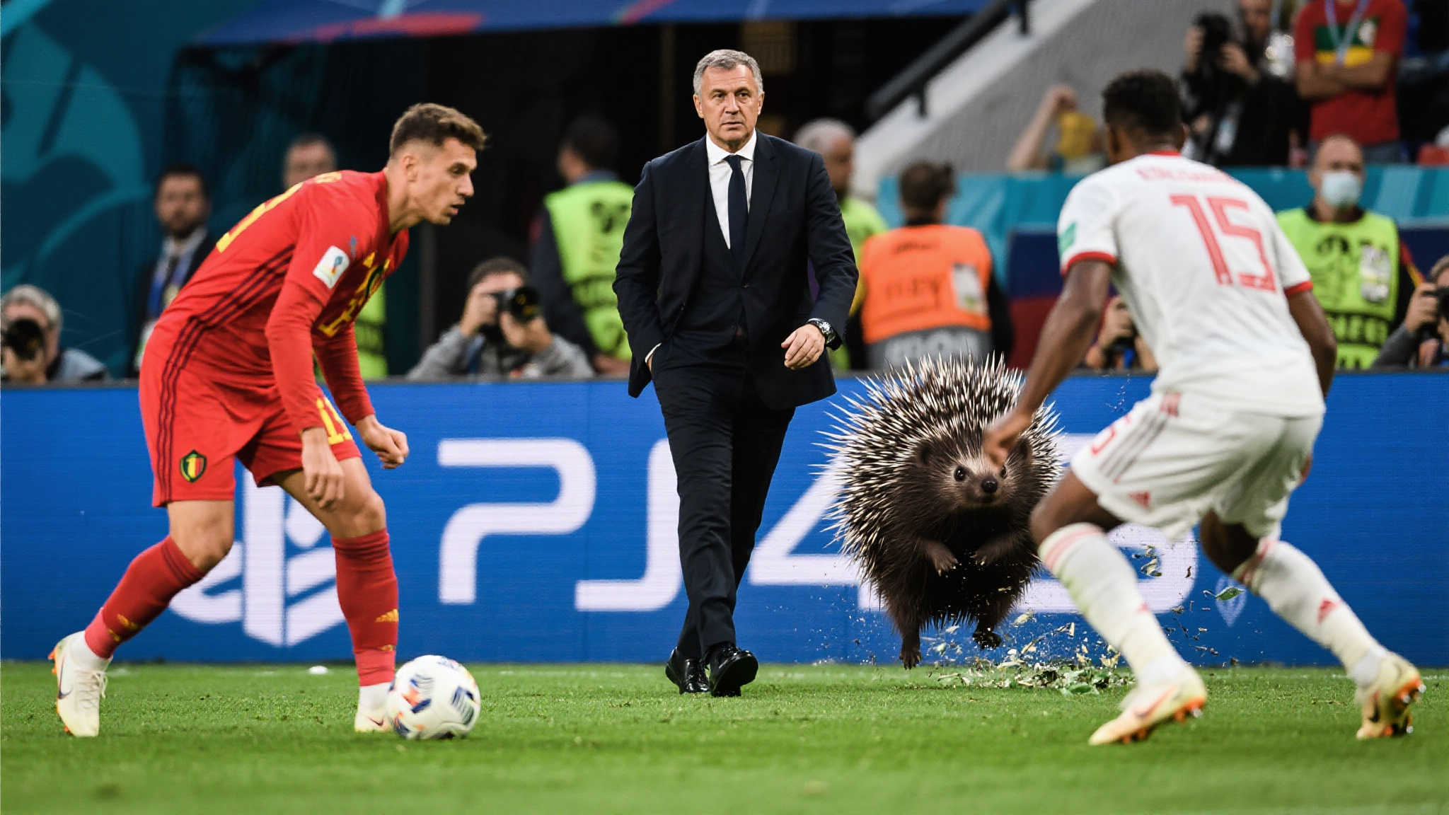 华体会-团队介绍